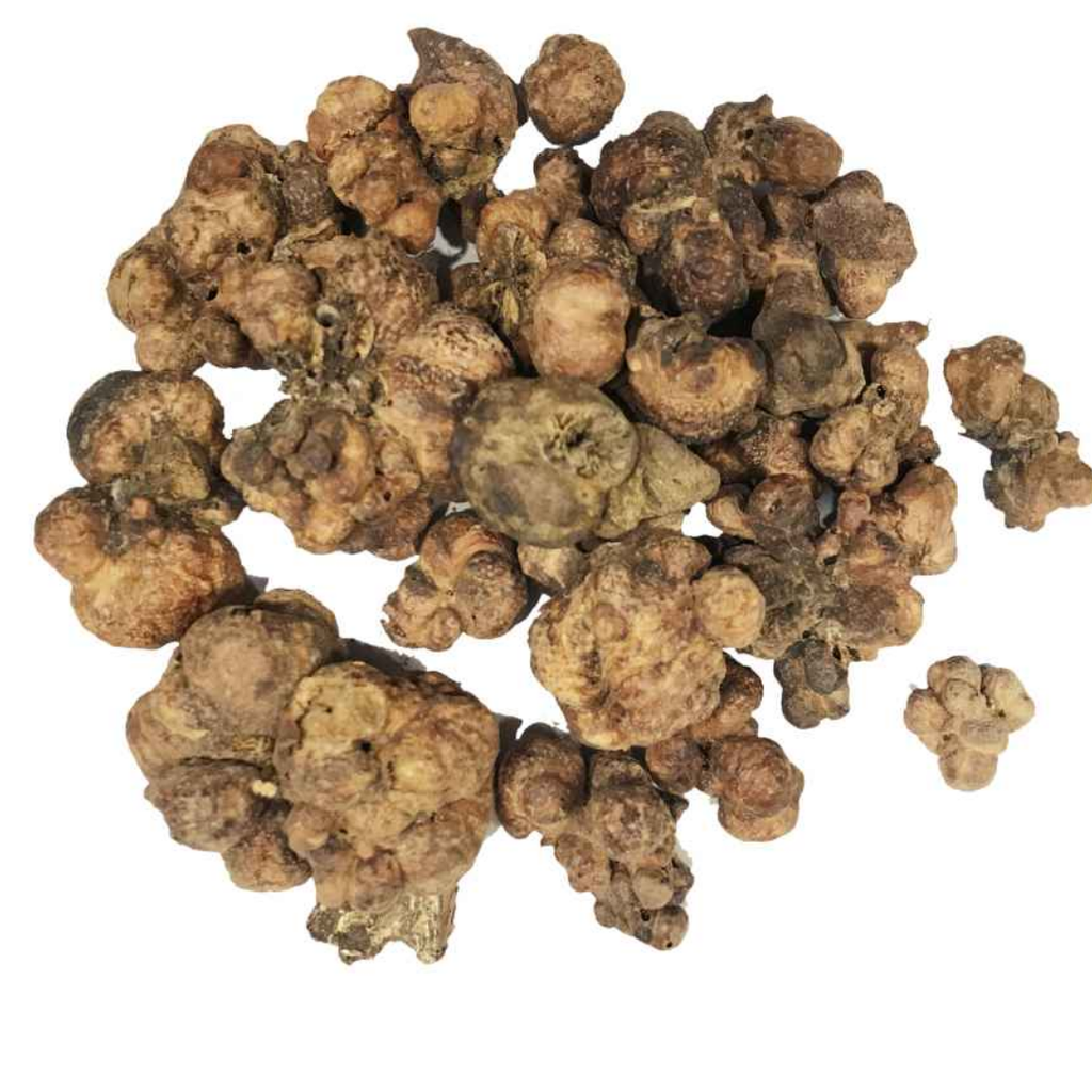 Mae Khurd / Australian Pine Tree Fruit / Mai مائیں