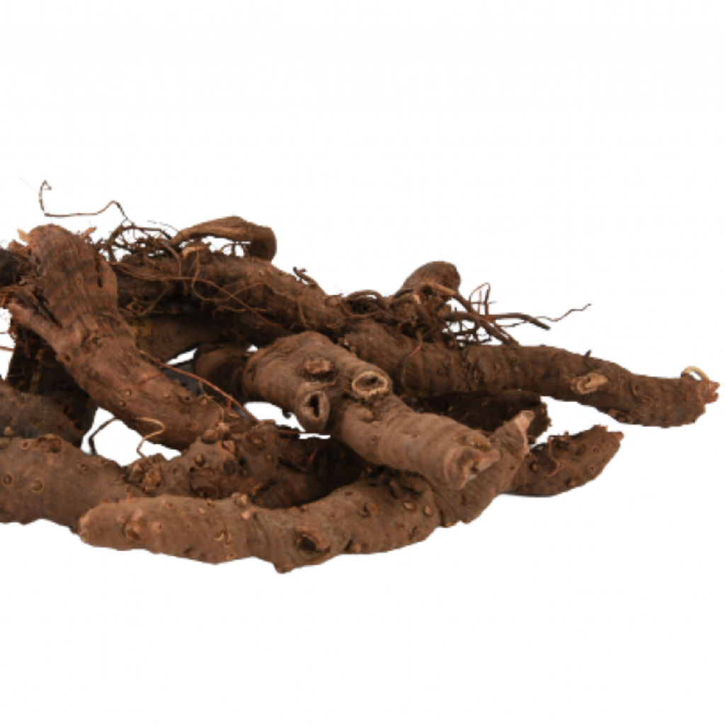 Anjbar / Alpine Bistort / Persicaria Viviparum انجبار