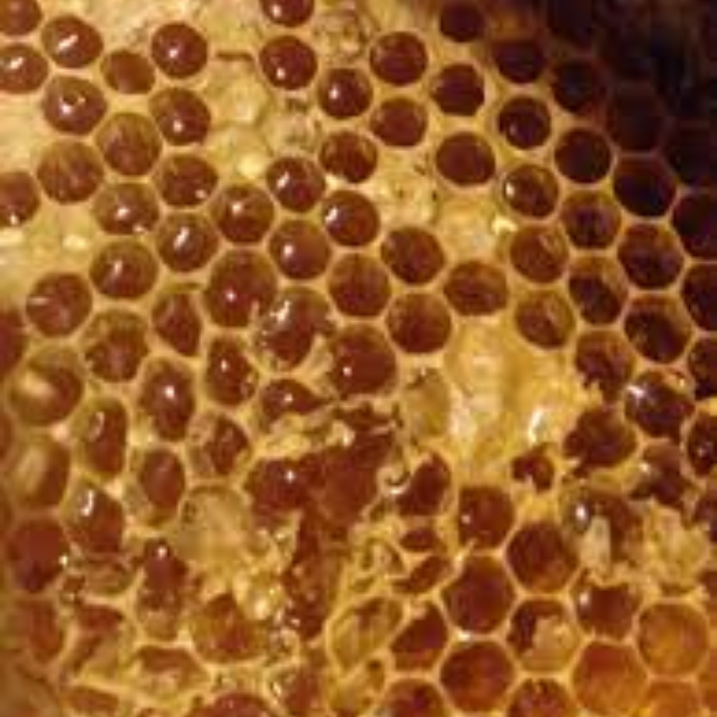 Mom Desi / Bees Wax / موم دیسی