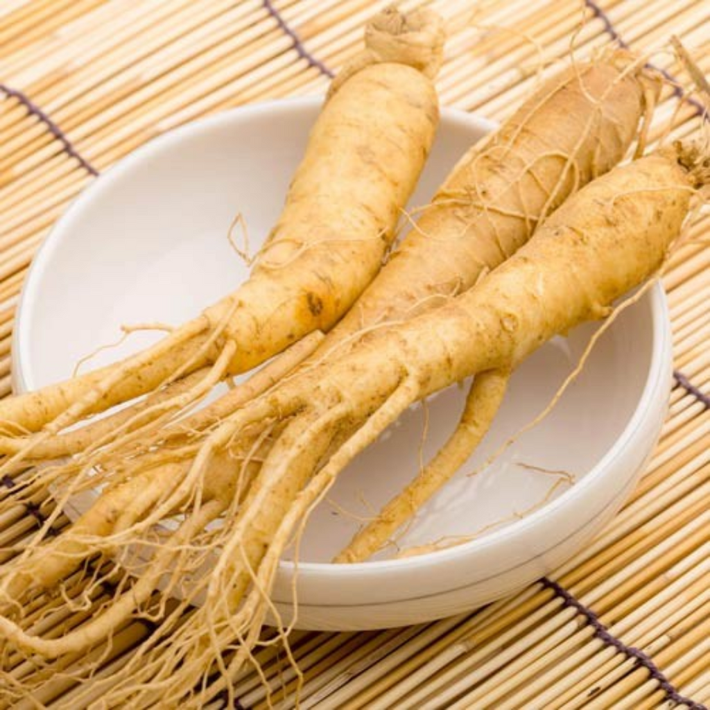 Ginseng Chinaنسنگ چائنہ