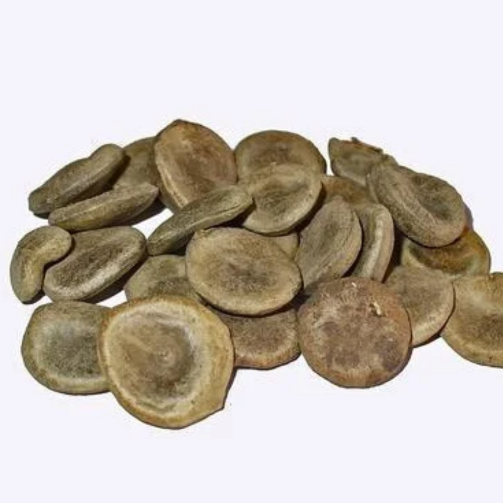 Kuchla / Nux Vomica / Strychnine / کچلہ