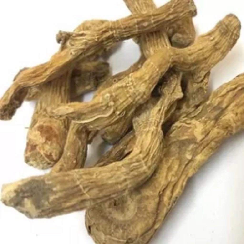 Shakakal Misri / Parsnip / ثقاقل مصری