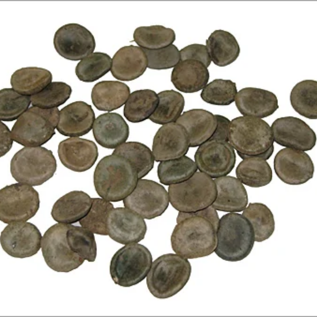 Kuchla / Nux Vomica / Strychnine / کچلہ