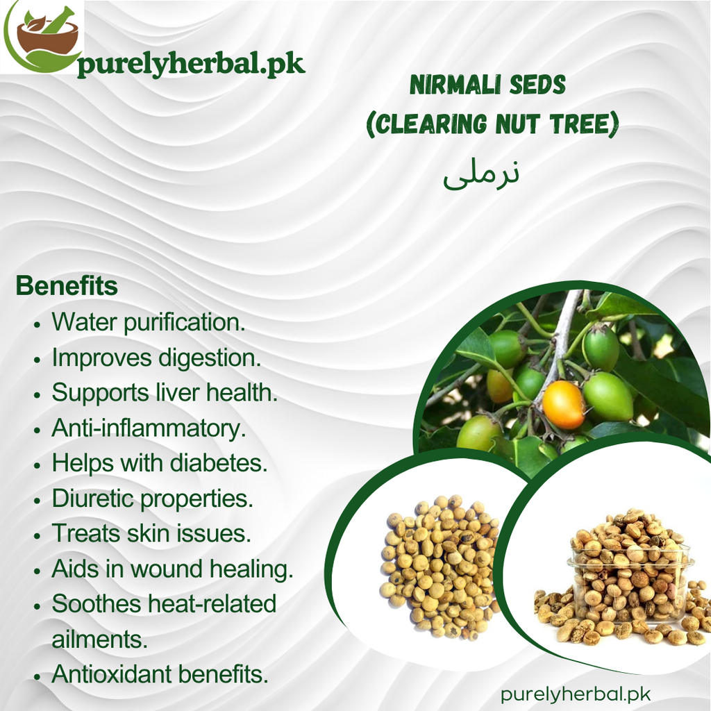 Nirmali Seeds / Clearing Nut Tree نرملی
