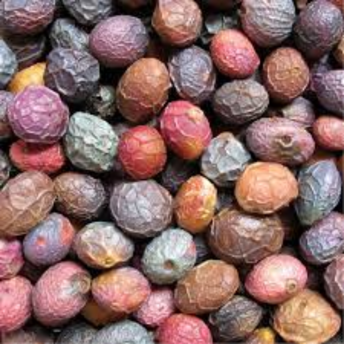 Habbul Khizra / Pistacia Atlantica / Mastic Seeds  حب الخضرا