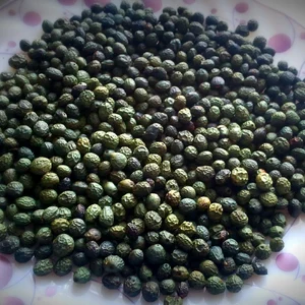 Habbul Khizra / Pistacia Atlantica / Mastic Seeds  حب الخضرا