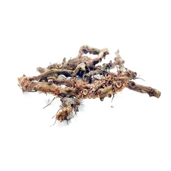 Besfaij / Polypody Root / بسفائج
