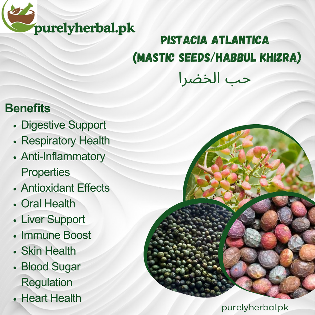 Habbul Khizra / Pistacia Atlantica / Mastic Seeds  حب الخضرا