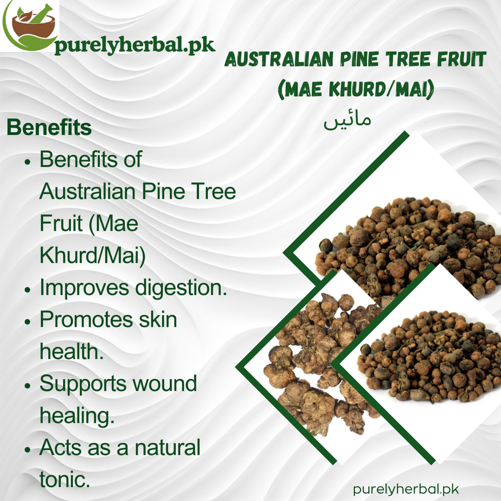 Mae Khurd / Australian Pine Tree Fruit / Mai مائیں