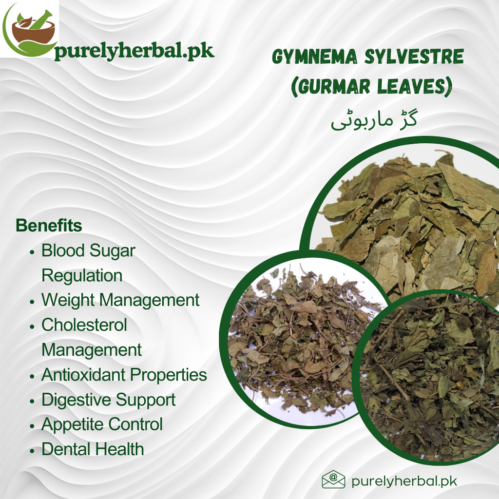Gurmaar booti /  Gymnema Sylvestre  گڑ ماربوٹی