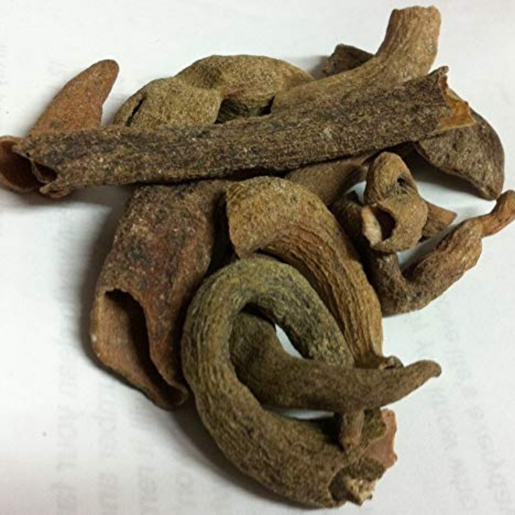 Kakra Singhi / Pistacia Integerrima کاکڑا سنگھی