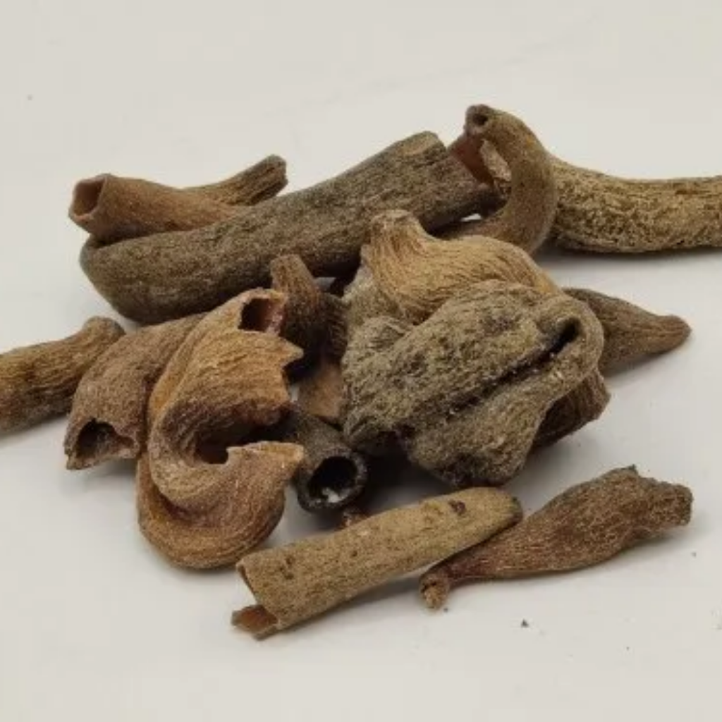 Kakra Singhi / Pistacia Integerrima کاکڑا سنگھی