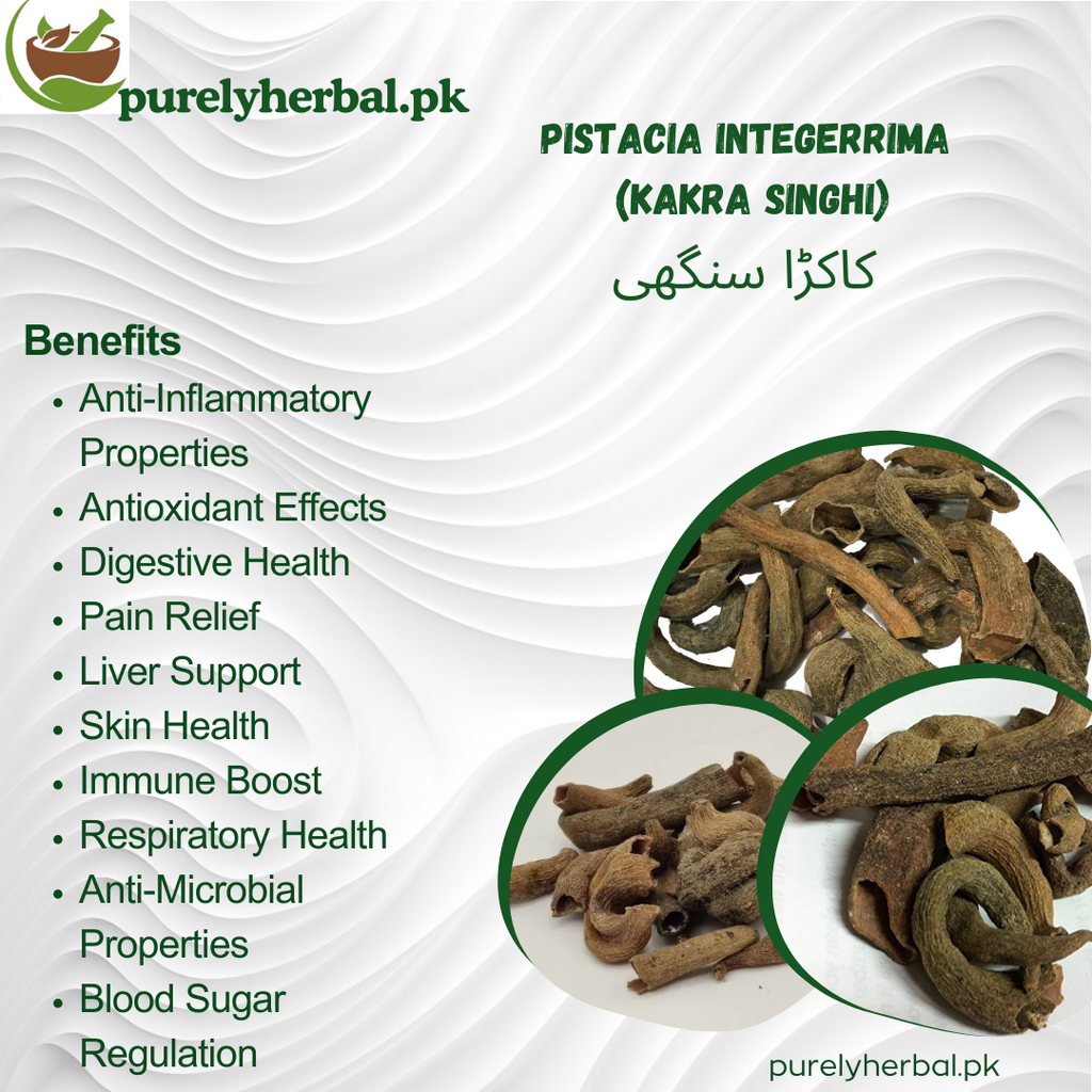 Kakra Singhi / Pistacia Integerrima کاکڑا سنگھی
