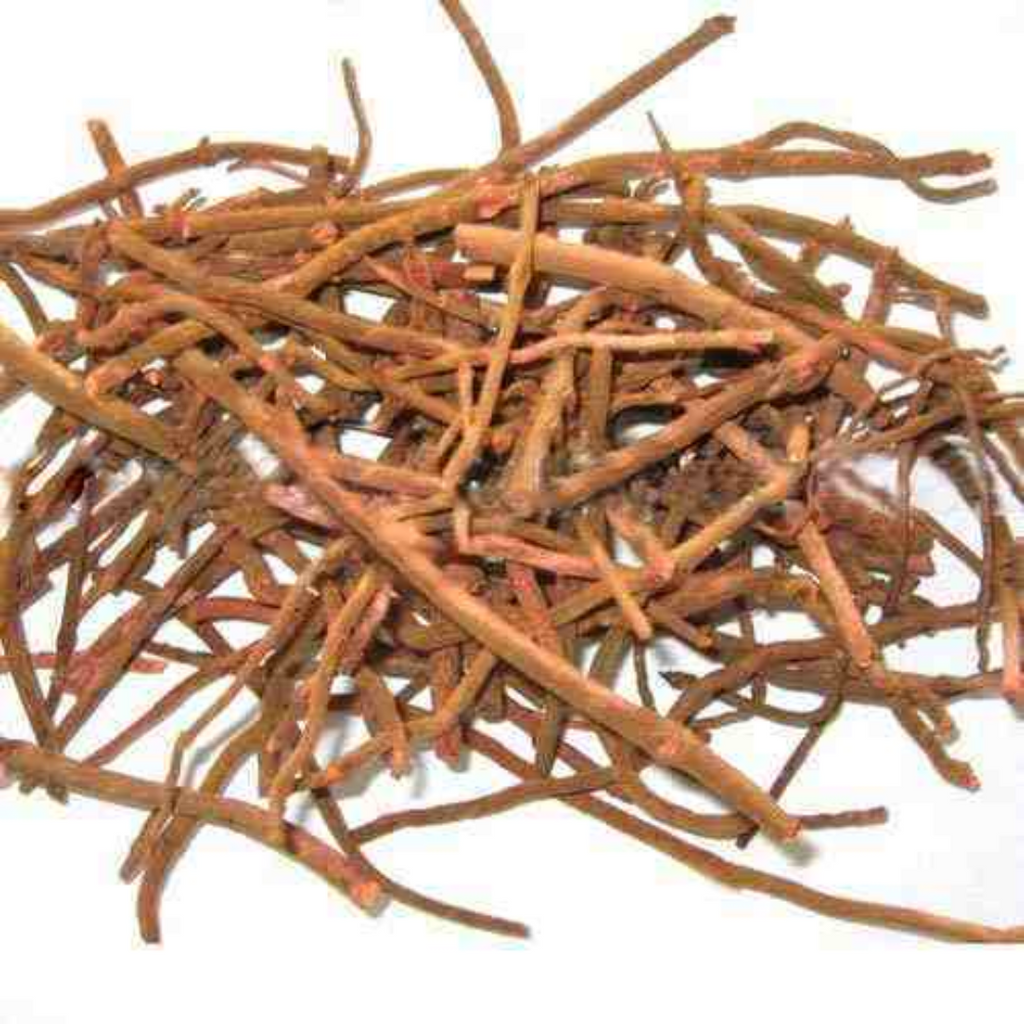 Majeeth / Rubia cordifolia / مجیٹھ