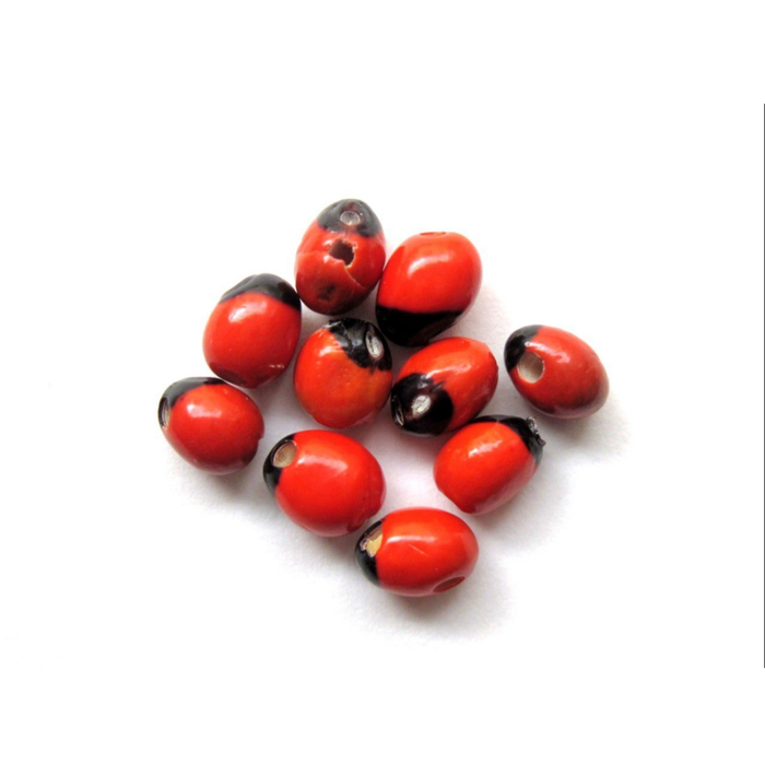 Ratti Surkh / Red Ghungchi Seeds / رتی سرخ