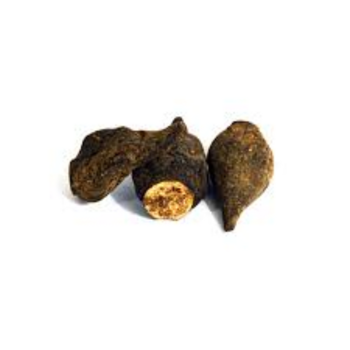 Salab Dana / Salep Orchid Root ثعلب دانہ