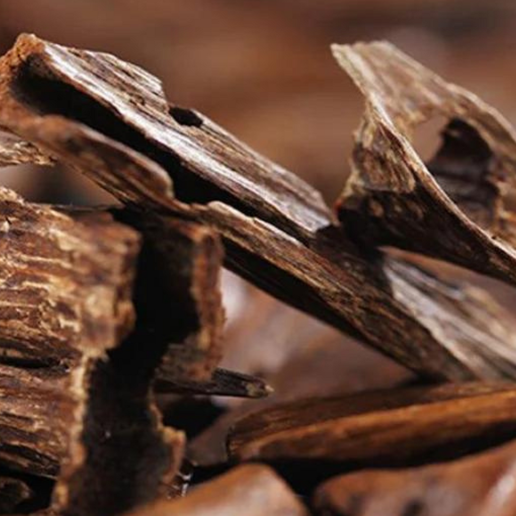 Agarwood Oud عود
