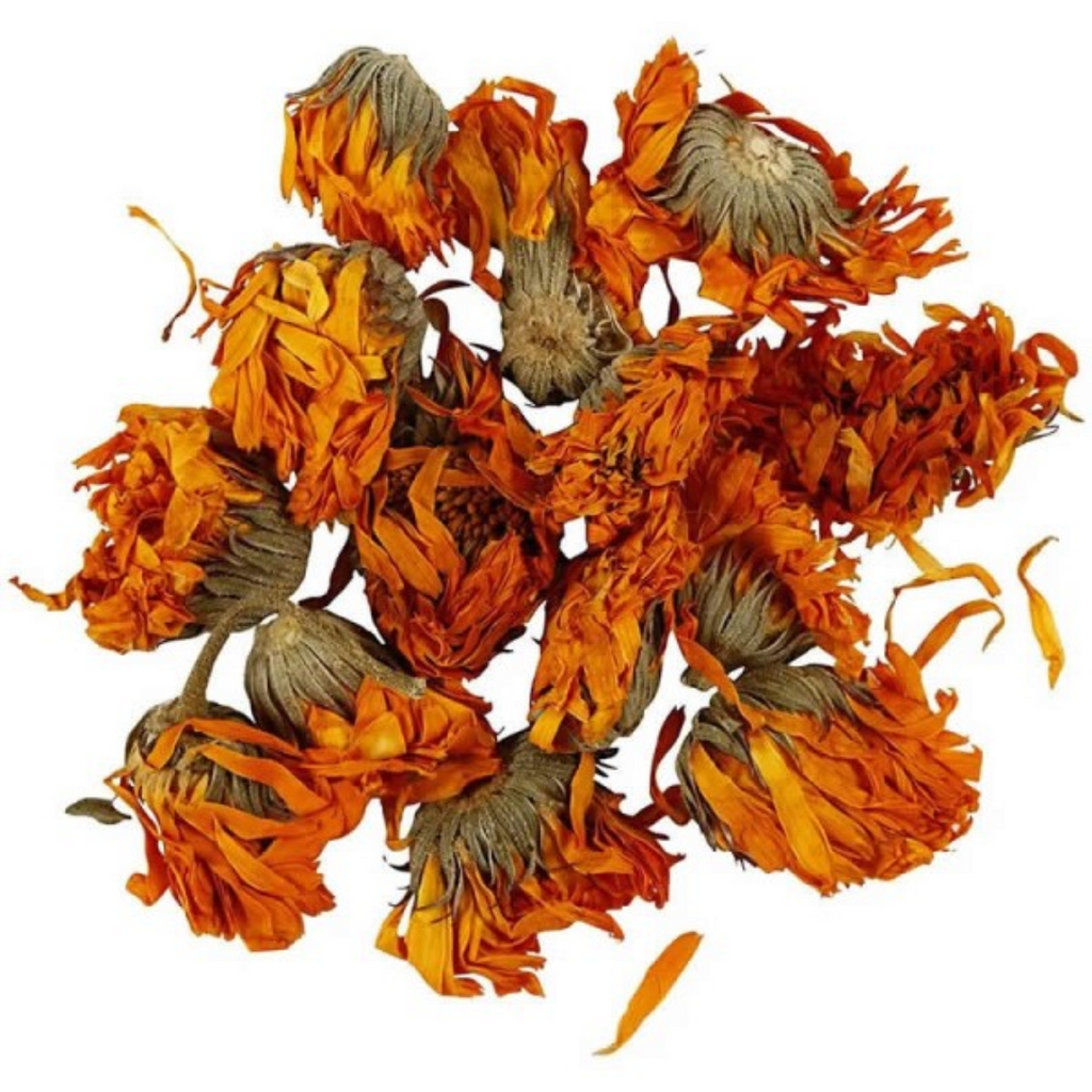 Gende Ka Phool / Marigold / Calendula Flower گیندے کے پھول