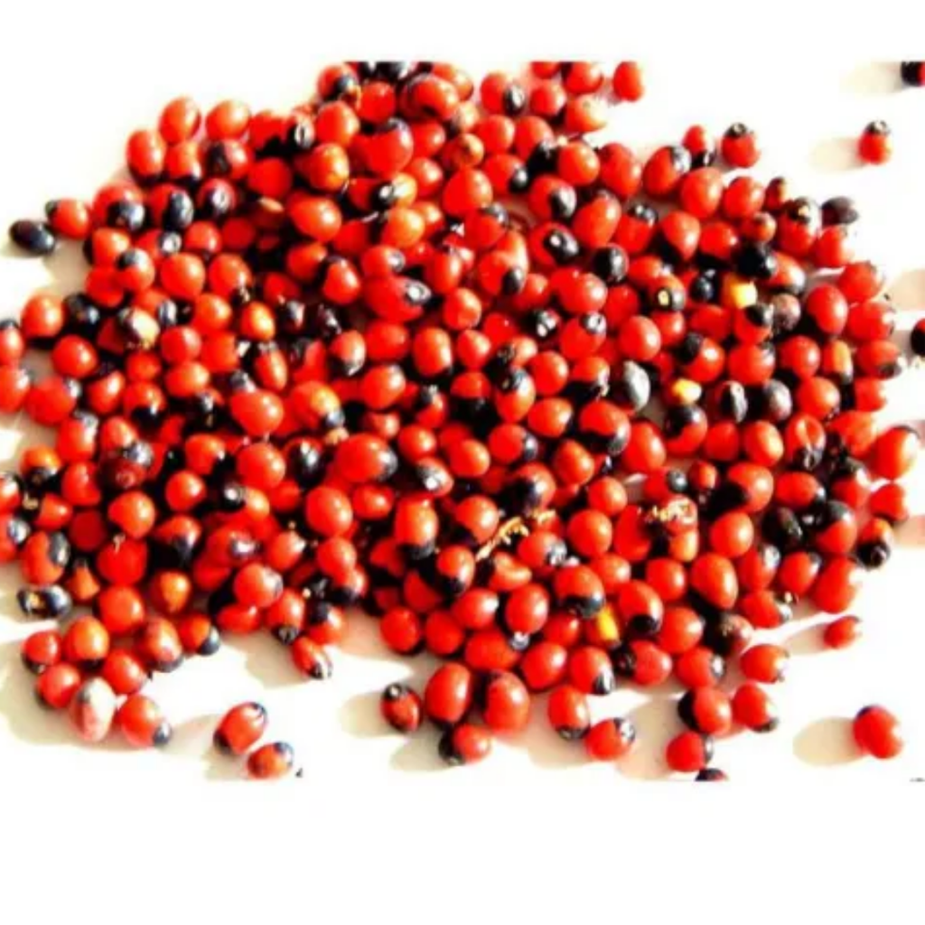 Ratti Surkh / Red Ghungchi Seeds / رتی سرخ