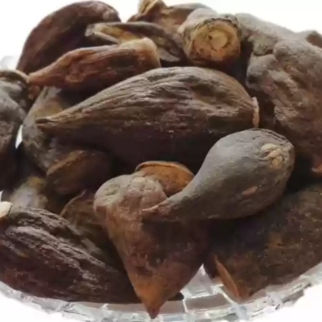 Salab Dana / Salep Orchid Root ثعلب دانہ