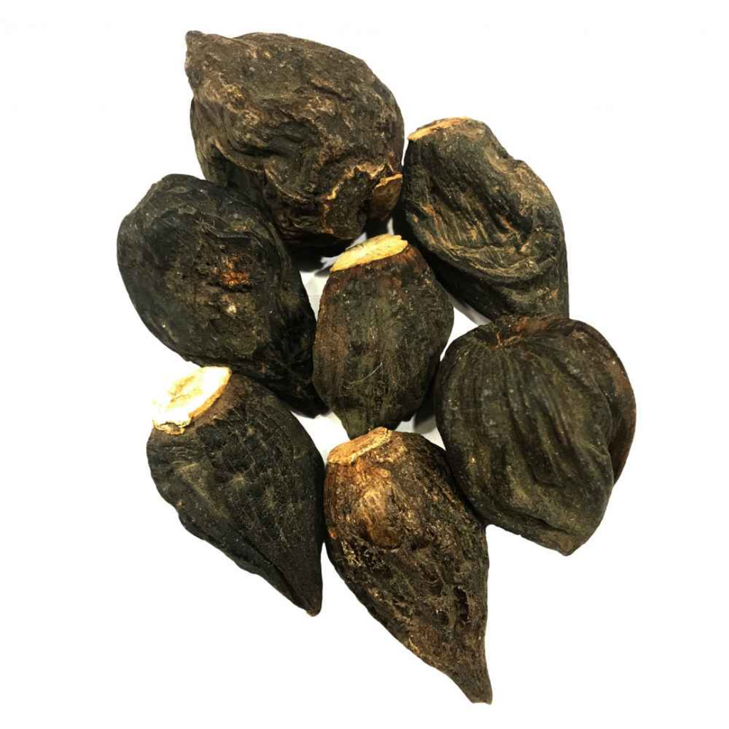 Salab Dana / Salep Orchid Root ثعلب دانہ