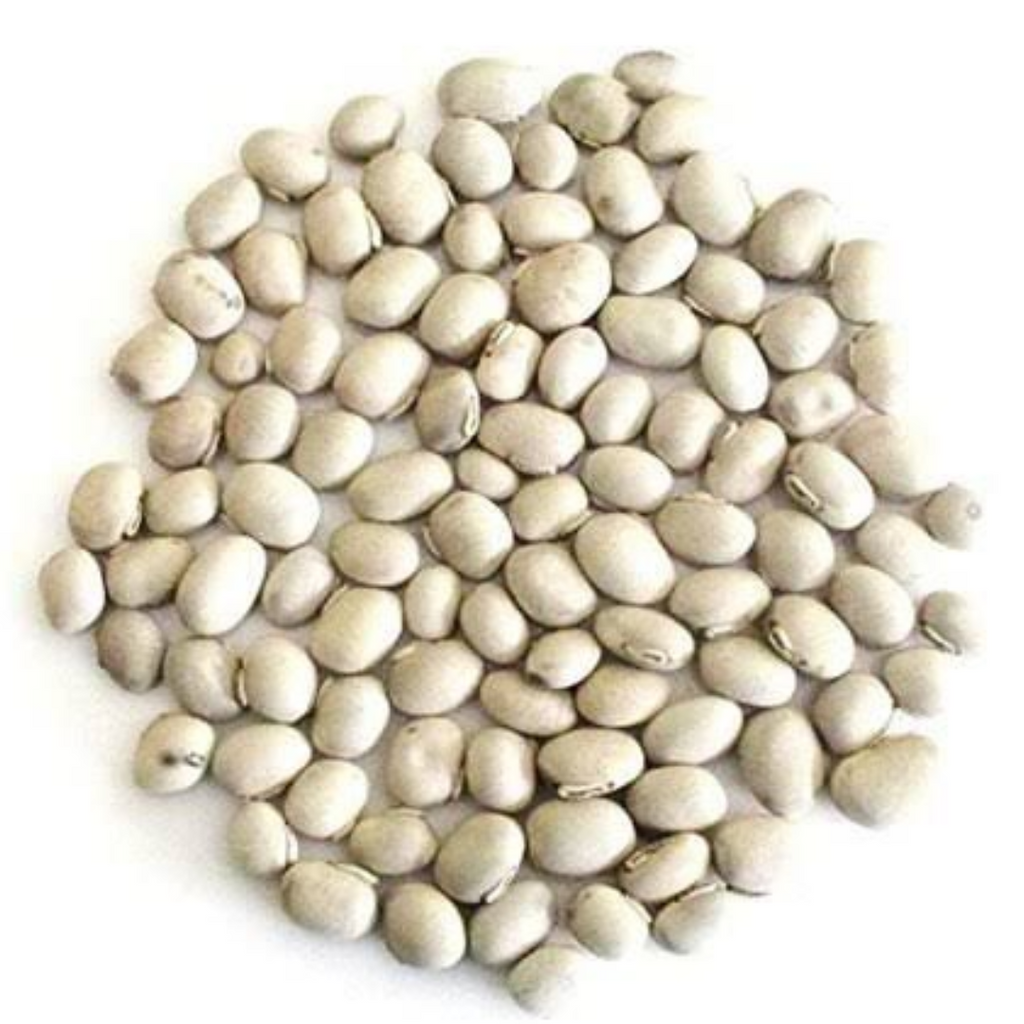 Konch Safeed / Mucuna Pruriens / Velvet Beans / کونچ سفید