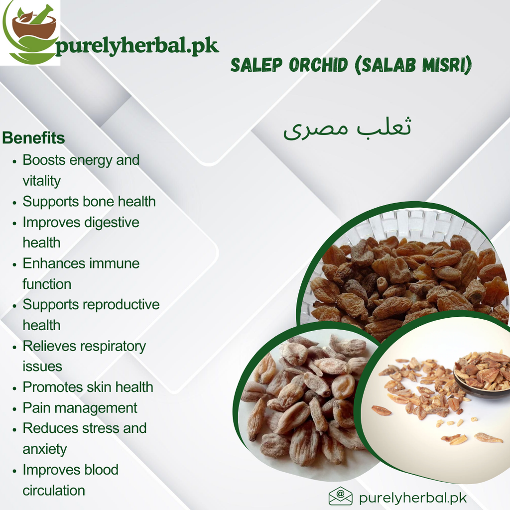 Salab Misri / Salep Orchid ثعلب مصری