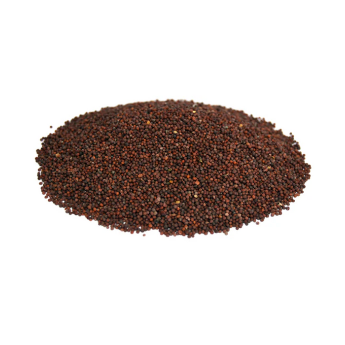 Sarson Siyah / Rai / Mustard Seed سرسوں سیاہ