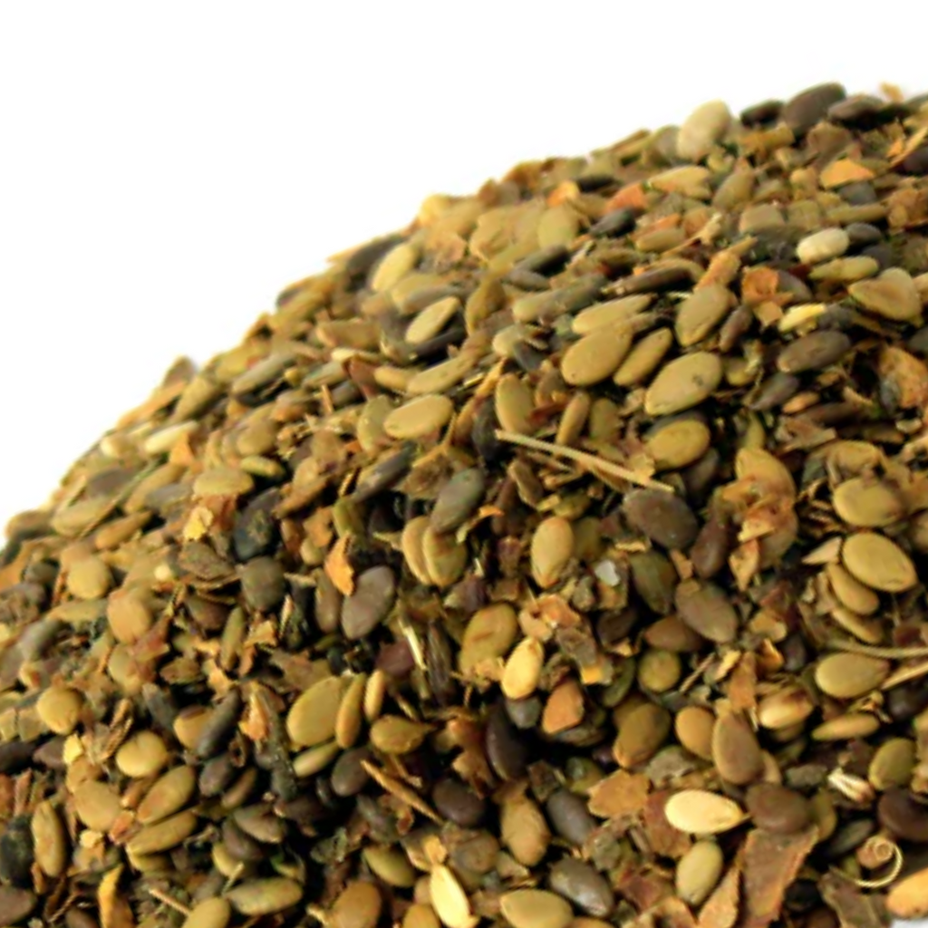 Tukhm e Tumha / Bitterapple Seeds  / تخم تمہ