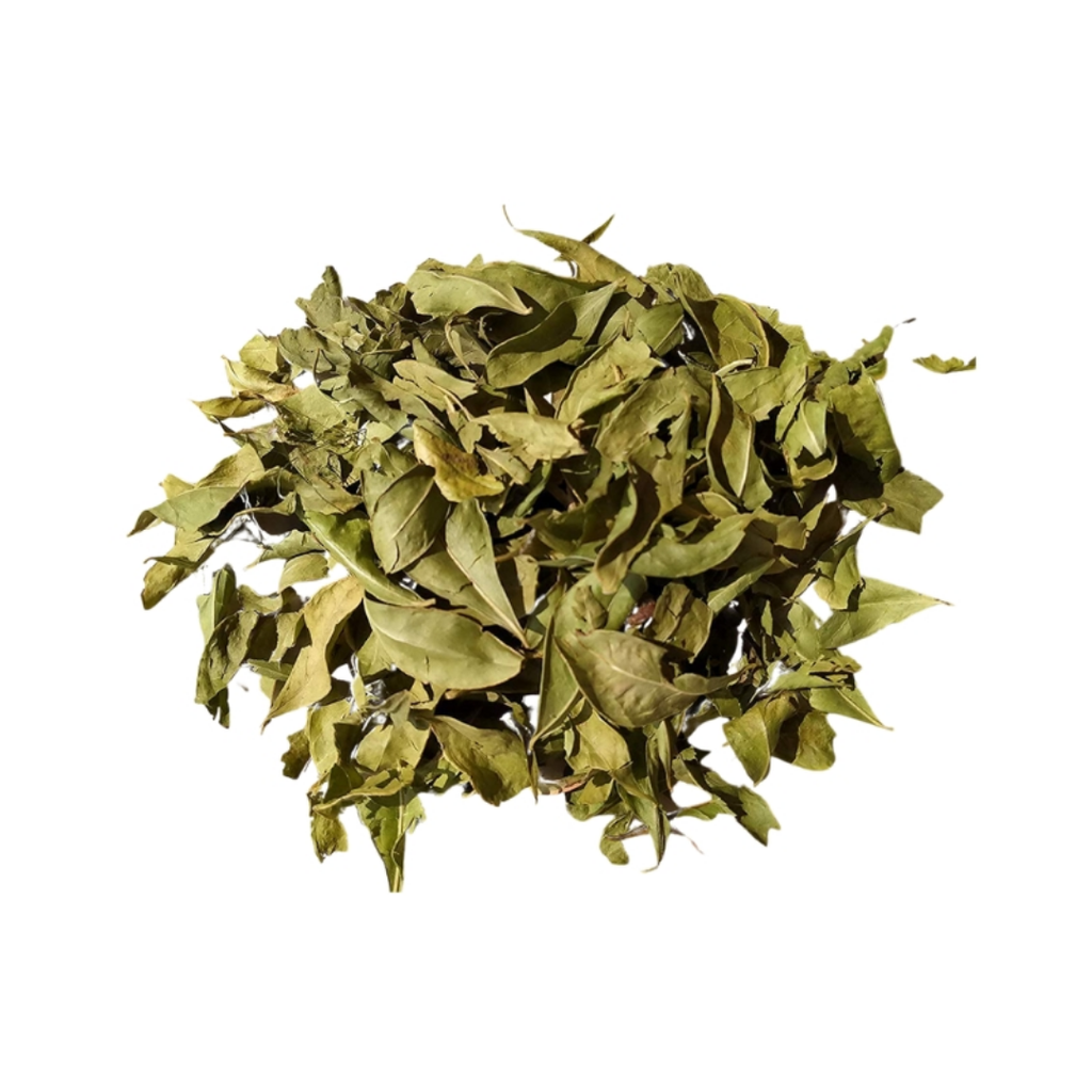 Barg e Mehndi / Henna Leaves / برگ مہندی