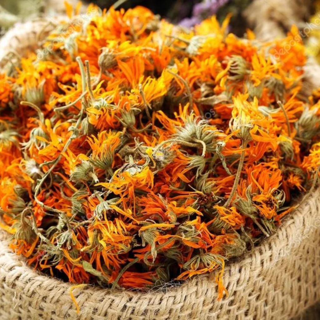 Gende Ka Phool / Marigold / Calendula Flower گیندے کے پھول