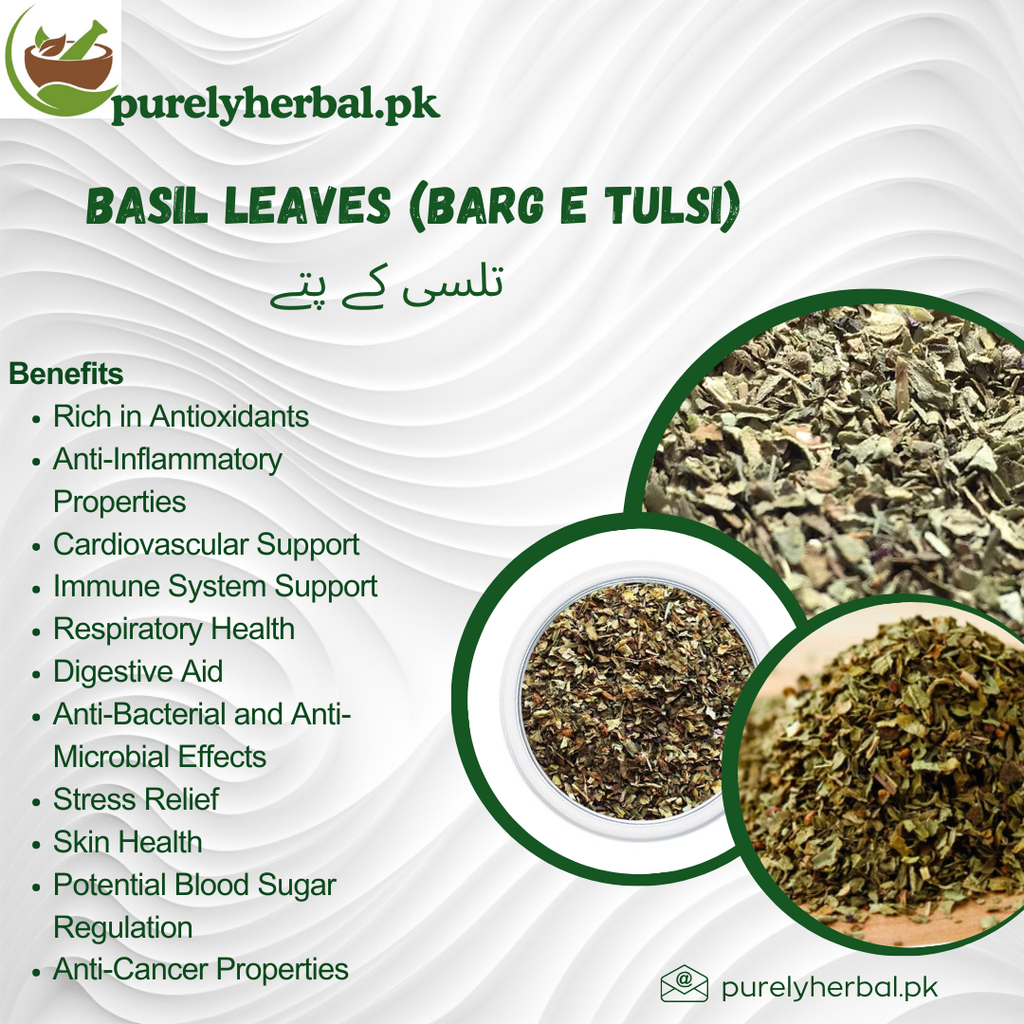 Barg e Tulsi / Basil Leaves / تلسی کے پتے