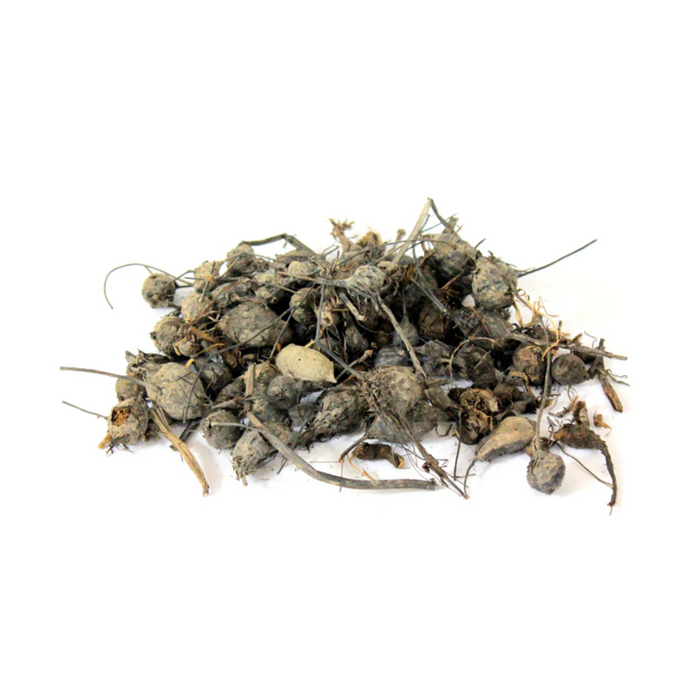 Nagar Motha / Sweet Cyperus / ناگر موتھا
