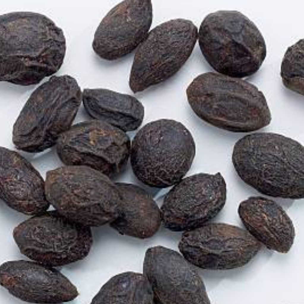 Saw Palmetto Berries ساپال میٹو