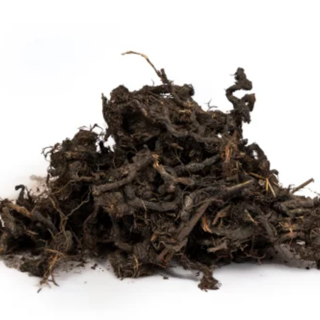 Nagar Motha / Sweet Cyperus / ناگر موتھا