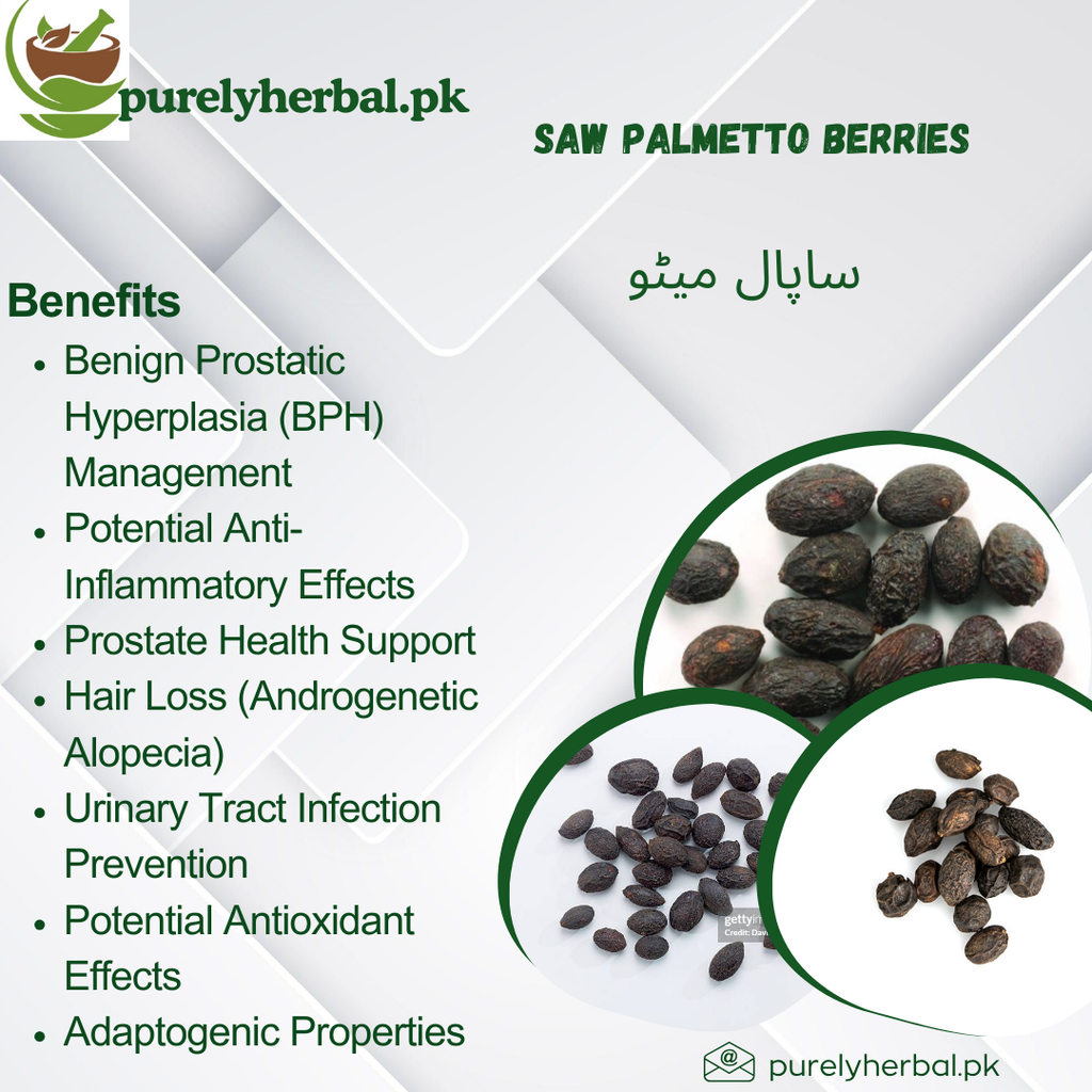 Saw Palmetto Berries ساپال میٹو