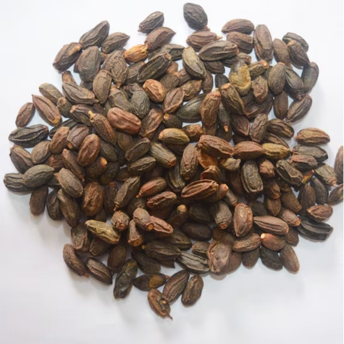 Tukhm e Neem / Neem Seeds /  تخم نیم
