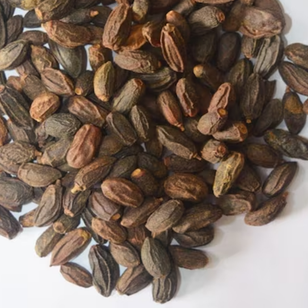 Tukhm e Neem / Neem Seeds /  تخم نیم