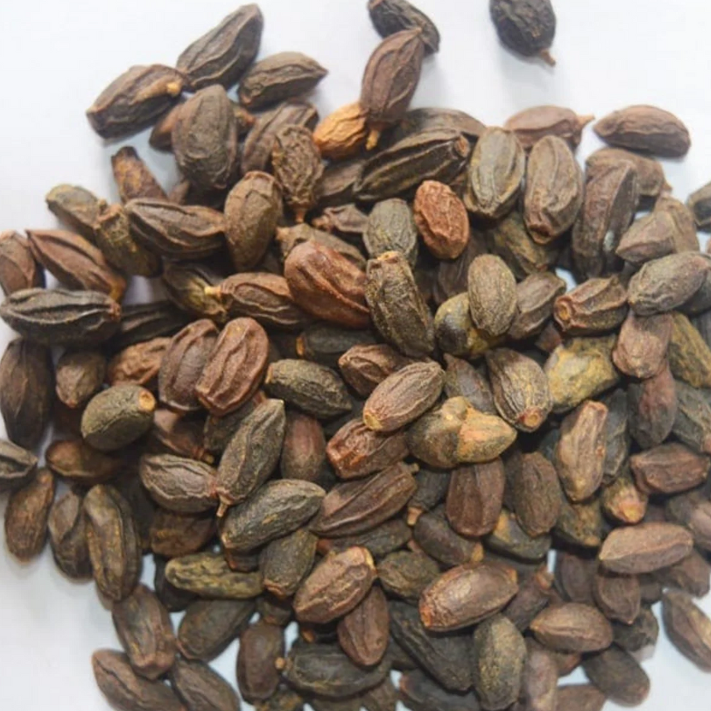 Maghaz Neem / Neem Seeds Unshelled / مغز نیم