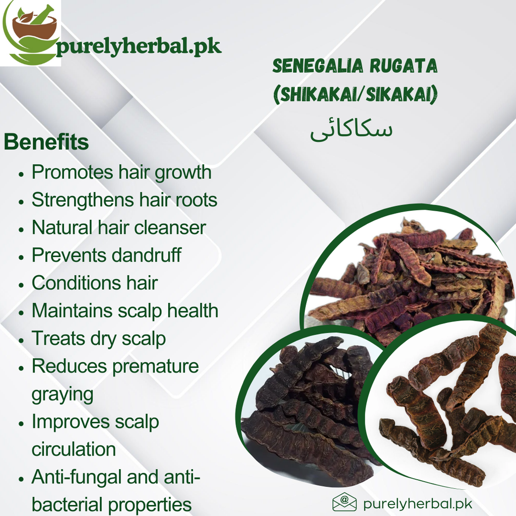 Sikakai / Senegalia Rugata / Shikakai / سکاکائی