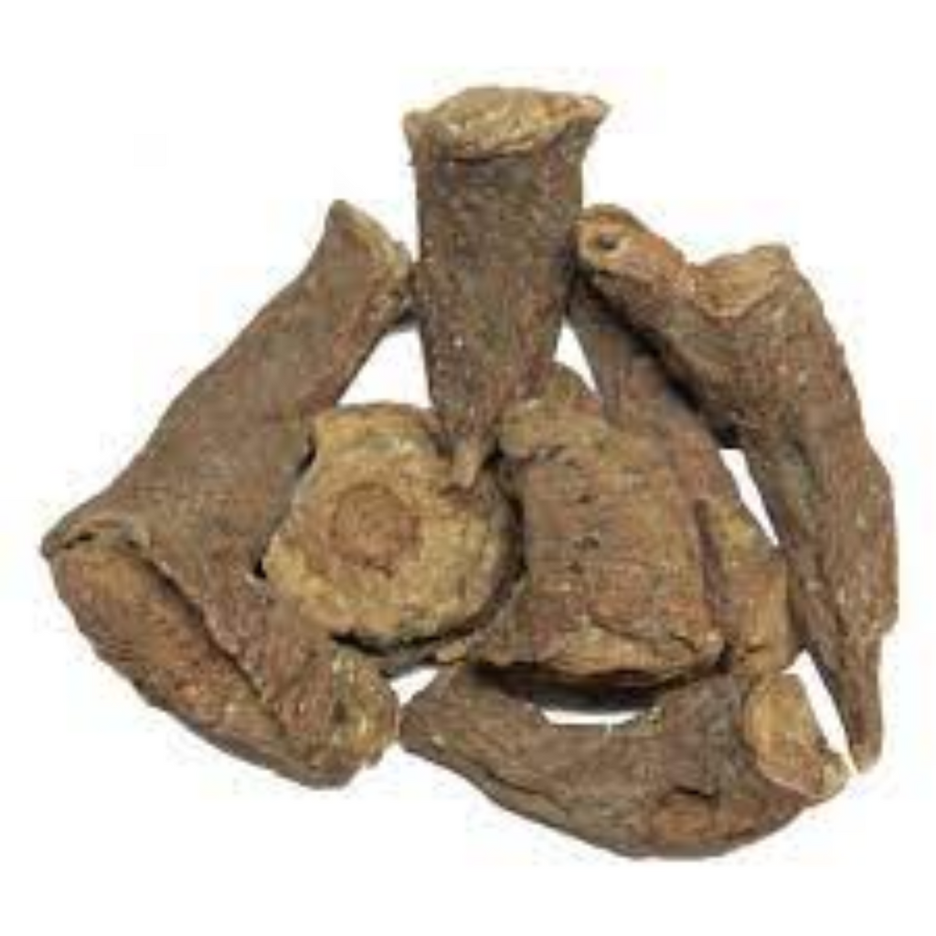 Behman Surkh / Salvia Haematodes Linn / بہمن سرخ