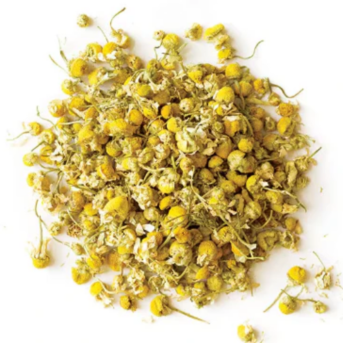 Gul e Babona / Chamomile flower / گل بابونہ