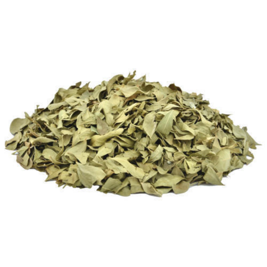 Barg e Mehndi / Henna Leaves / برگ مہندی