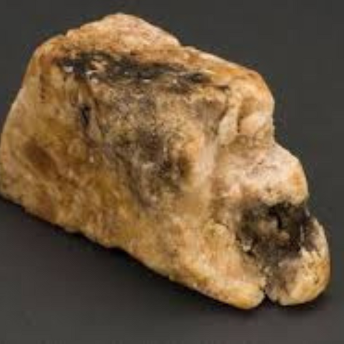 Amber / Ambergris / عنبر اشب