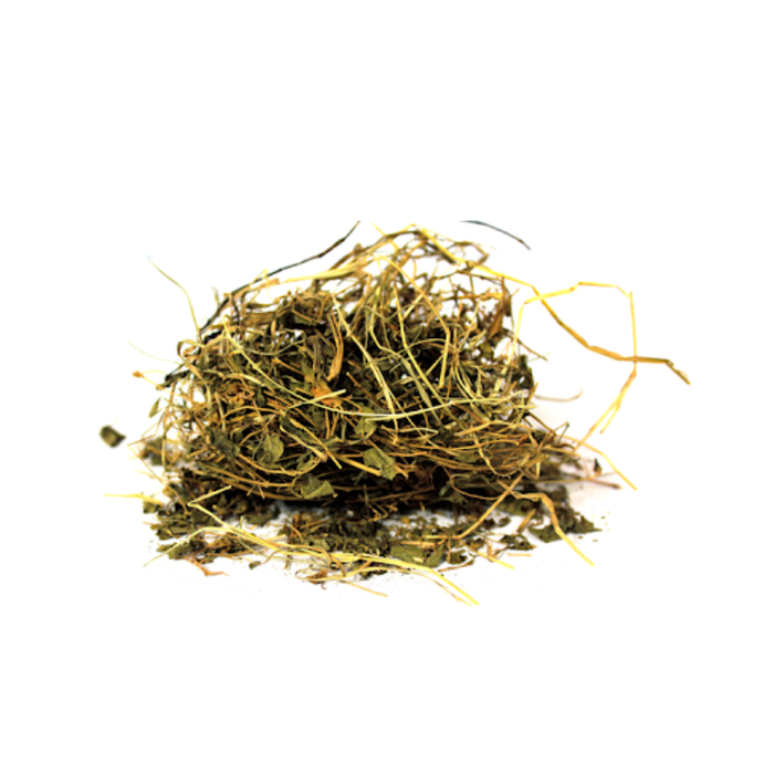 Barhami Booti / Bacopa Monnieri / برہمی بوٹی