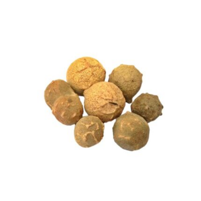Mazoo / Aleppo Oak / Mazu مازو سبز