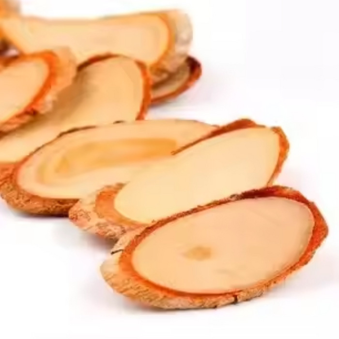 Tongkat Ali / Longjack تونکات علی