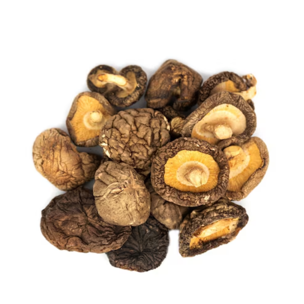 Khumbi mushroom / Shitake Mushrooms / Lentinula edodes / کھنبی مشروم