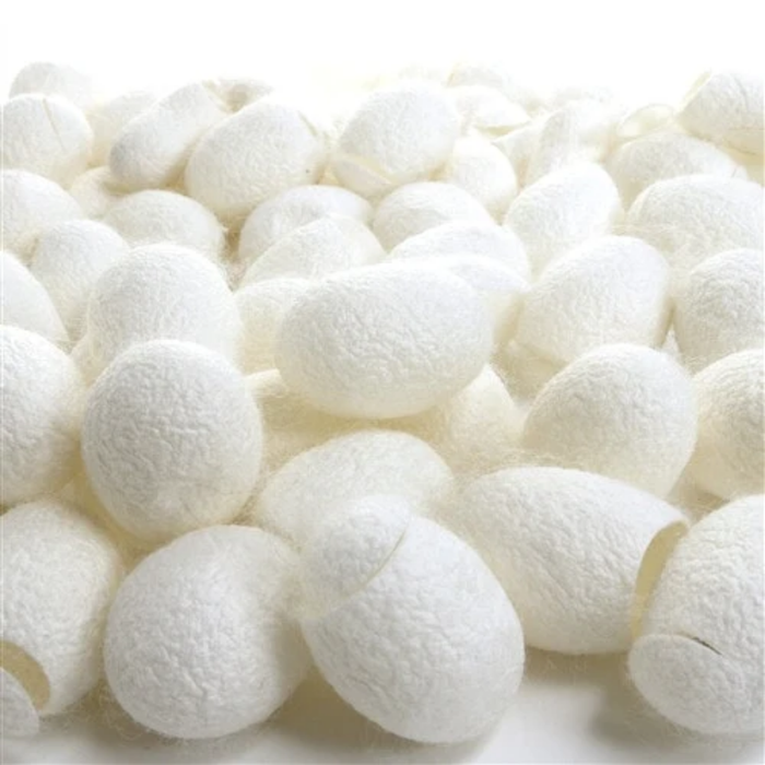 Abresham  / Silk Cocoon / ابریشم