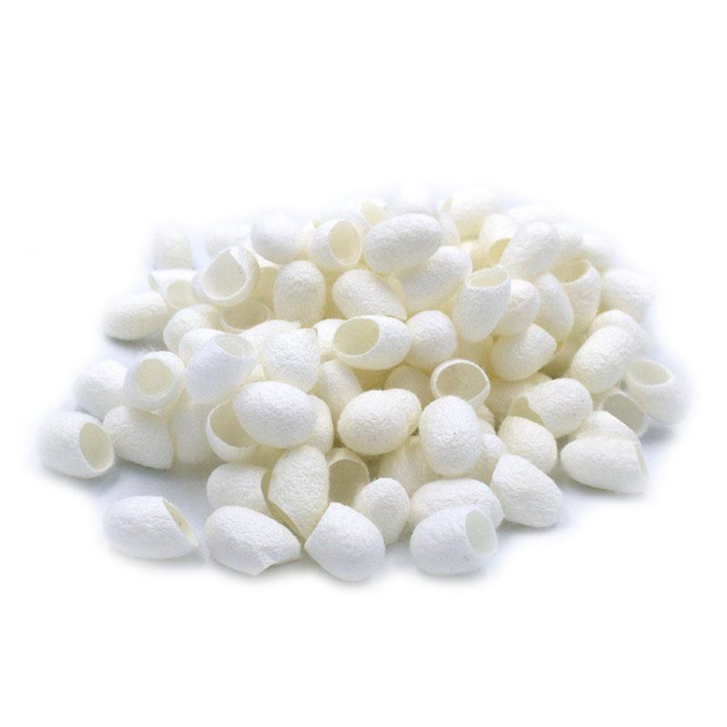 Abresham  / Silk Cocoon / ابریشم